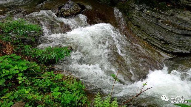 泰山区市场监督管理局迎胜市场监管所召开茶叶经营行业培训交流会